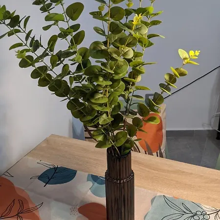 Apartament Sirake